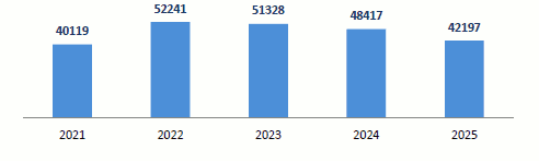 Решение Казанской городской Думы Республики Татарстан от 26.02.2026 N 4-6 "Отчет о деятельности Руководителя Исполнительного комитета г. Казани и деятельности Исполнительного комитета г. Казани за 2025 год". Рис. 17