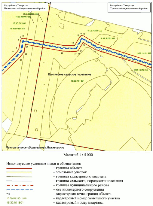 Постановление Кабинета Министров Республики Татарстан от 24.12.2024 N 1191 "Об установлении публичного сервитута в интересах акционерного общества "Особая экономическая зона промышленно-производственного типа "Алабуга" в целях строительства линейного объекта "Сети индустриального парка для резидентов (наружные сети водоснабжения)"